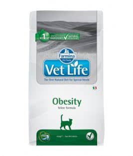 obesity-gato-vet-life.jpg